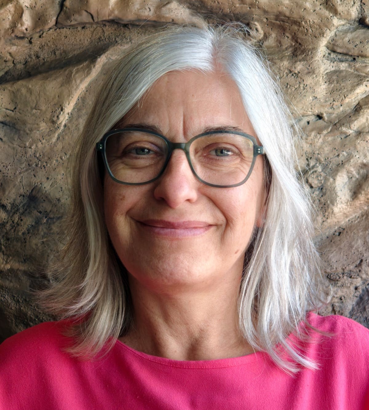 dominique ameteau